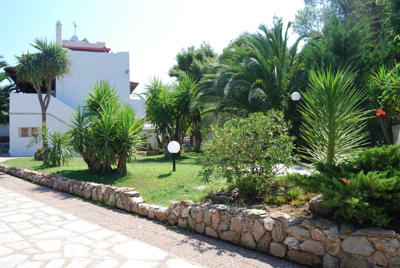 Ta Pefka Apartment Nikiti  Exterior photo