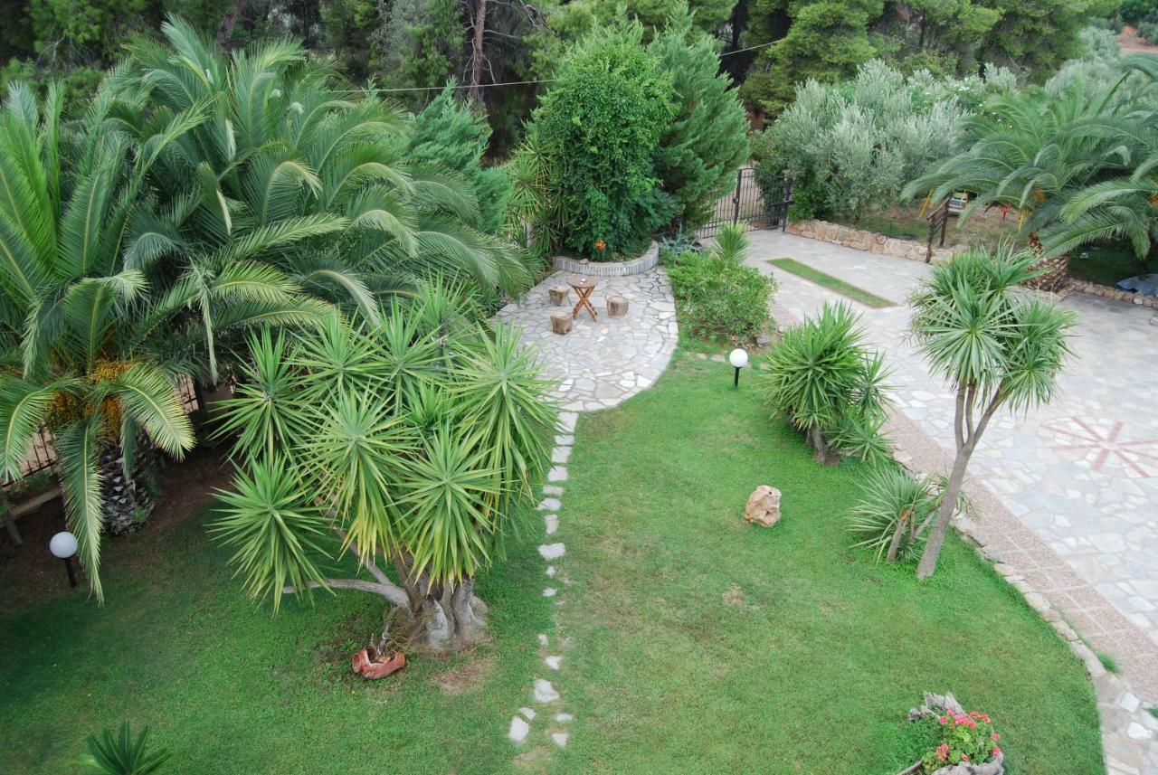 Ta Pefka Apartment Nikiti  Exterior photo